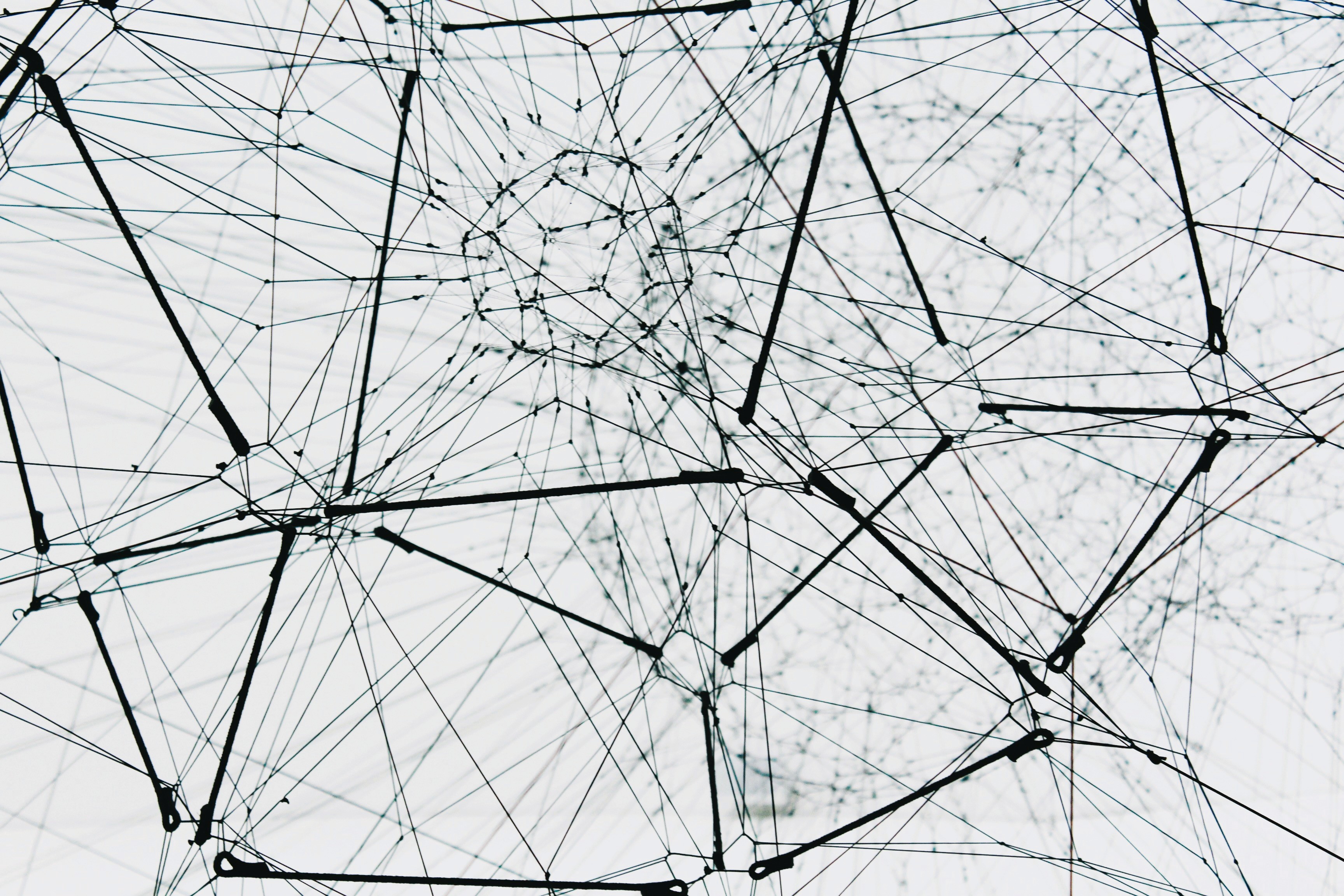 Picture representing a connections nest